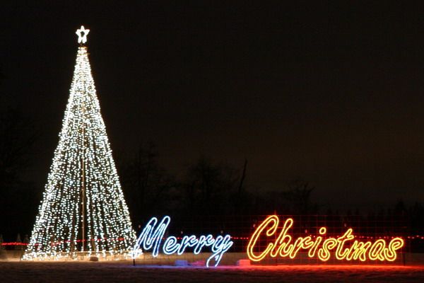 Christmas light signs